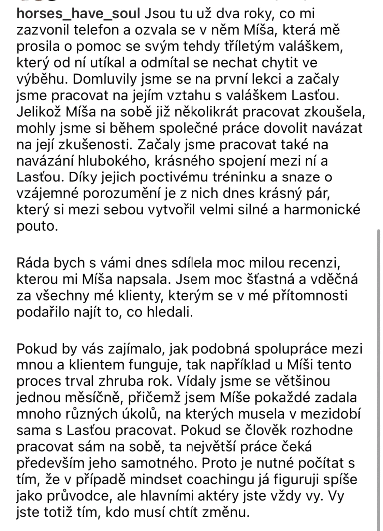 reference-site-2-2025-jana-svarcova-kone-maji-dusi-horses-have-souls