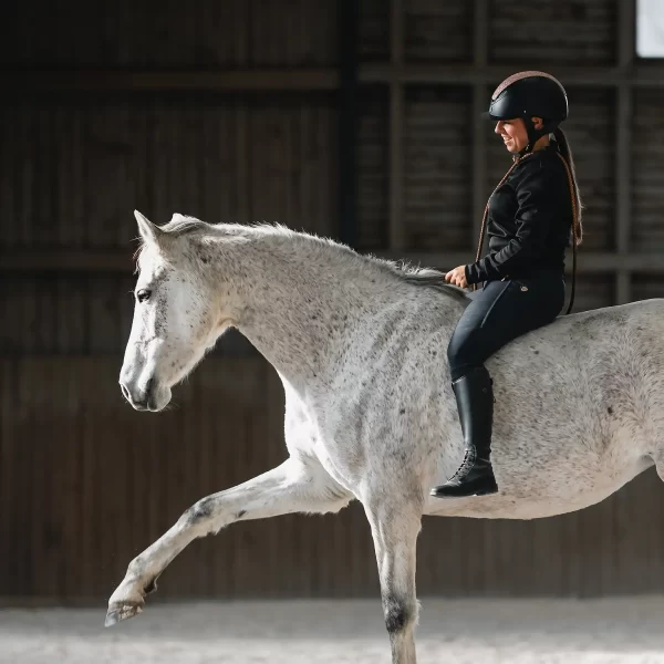 jana-svarcova-kone-maji-dusi-horses-have-souls-04