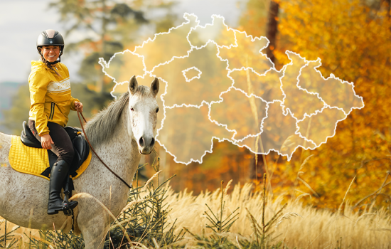 mapa-2025-05-jana-svarcova-kone-maji-dusi-horses-have-souls